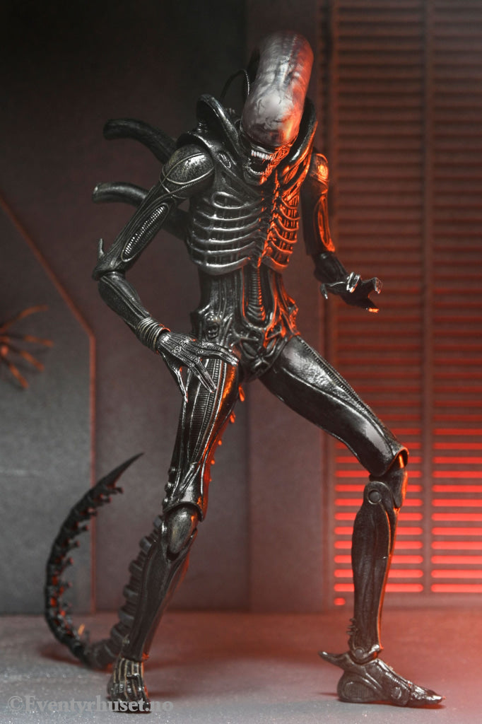 Alien: Romulus Action Figure Ultimate Xenomorph XX121 18 cm. Mint In Sealed Box (MISB)! Actionfigur