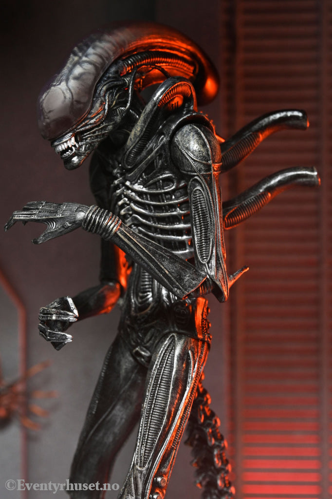 Alien: Romulus Action Figure Ultimate Xenomorph XX121 18 cm. Mint In Sealed Box (MISB)! Actionfigur