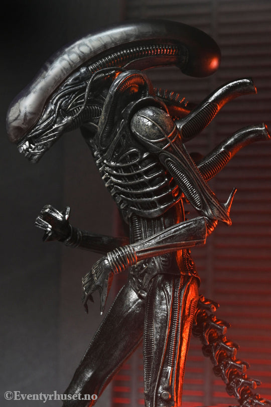 Alien: Romulus Action Figure Ultimate Xenomorph XX121 18 cm. Mint In Sealed Box (MISB)! Actionfigur