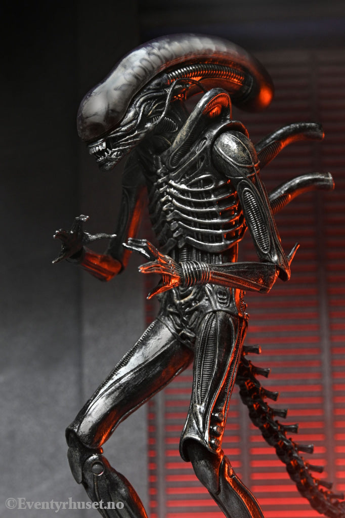 Alien: Romulus Action Figure Ultimate Xenomorph XX121 18 cm. Mint In Sealed Box (MISB)! Actionfigur