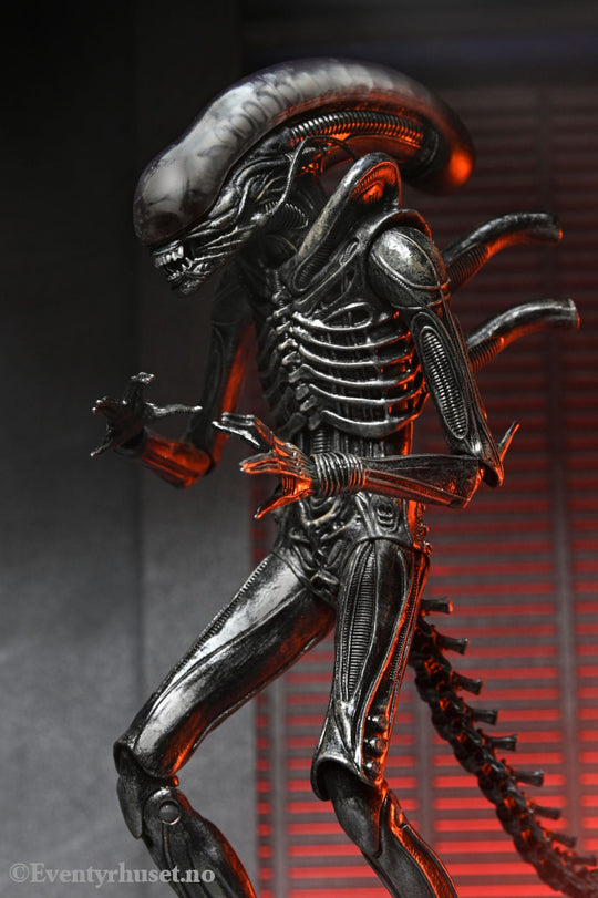 Alien: Romulus Action Figure Ultimate Xenomorph XX121 18 cm. Mint In Sealed Box (MISB)! Actionfigur