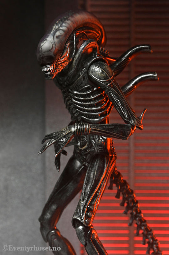 Alien: Romulus Action Figure Ultimate Xenomorph XX121 18 cm. Mint In Sealed Box (MISB)! Actionfigur