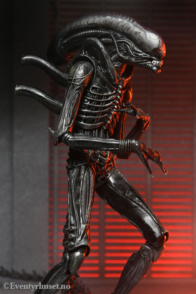 Alien: Romulus Action Figure Ultimate Xenomorph XX121 18 cm. Mint In Sealed Box (MISB)! Actionfigur