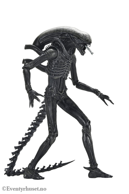 Alien: Romulus Action Figure Ultimate Xenomorph XX121 18 cm. Mint In Sealed Box (MISB)! Actionfigur