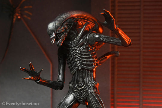 Alien: Romulus Action Figure Ultimate Xenomorph XX121 18 cm. Mint In Sealed Box (MISB)! Actionfigur