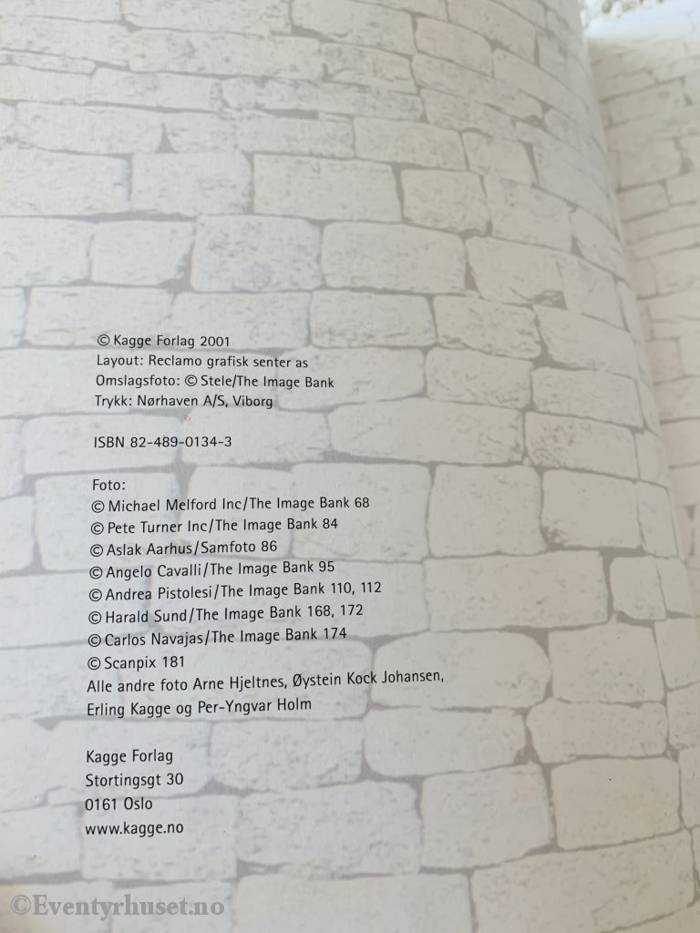 Arne Hjeltnes. 2001. Mysterier Fra Fortiden. Faktabok