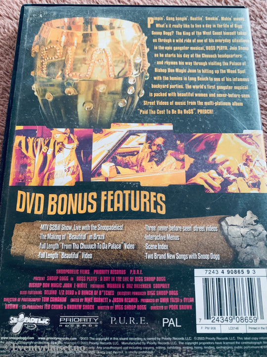 Bo$$ Playa: A Day in the Life of Bigg Snoop Dogg (2002). DVD.