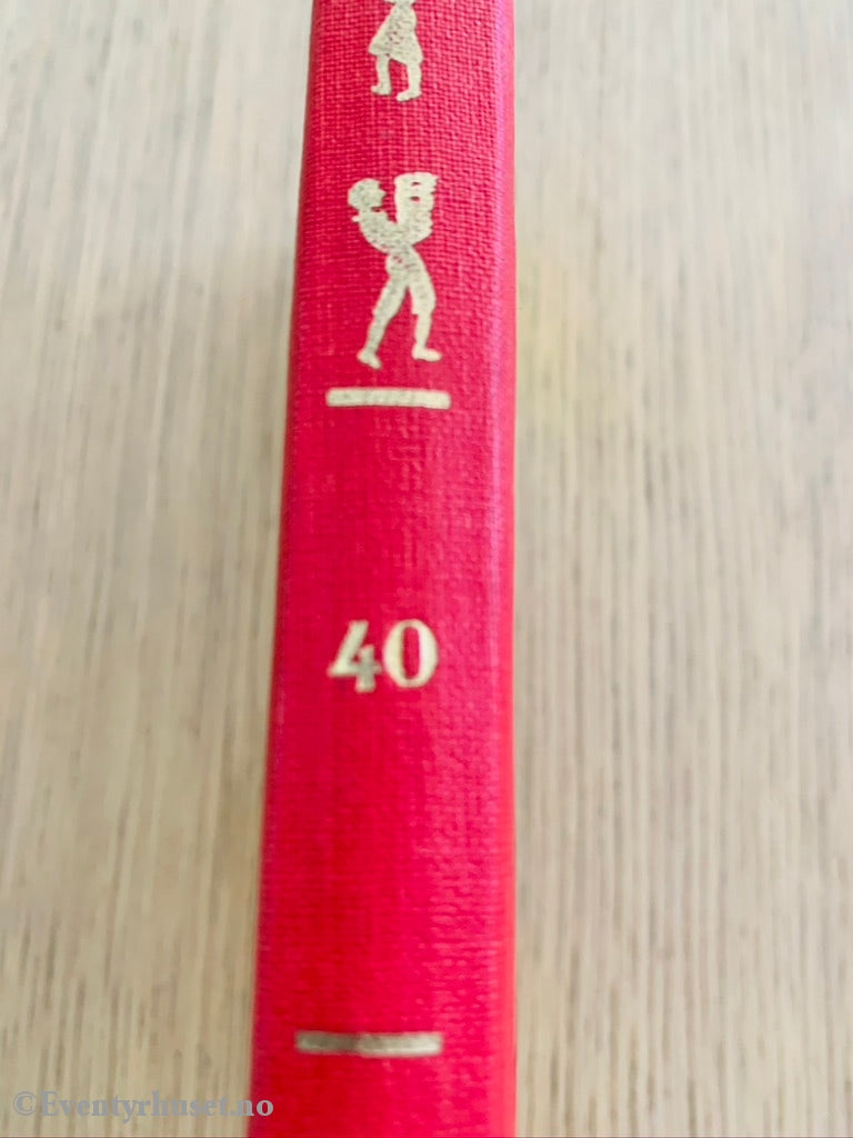 Damms Barnebibliotek Nr. 40. Marie Heggen. 1960. Steinhytta. Fortelling