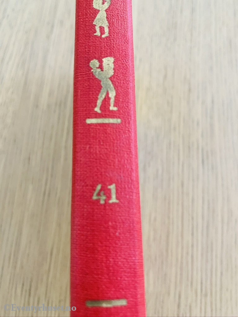 Damms Barnebibliotek Nr. 41. Evi Bøgenæs. 1960. Anne Kommer Igjen. Fortelling