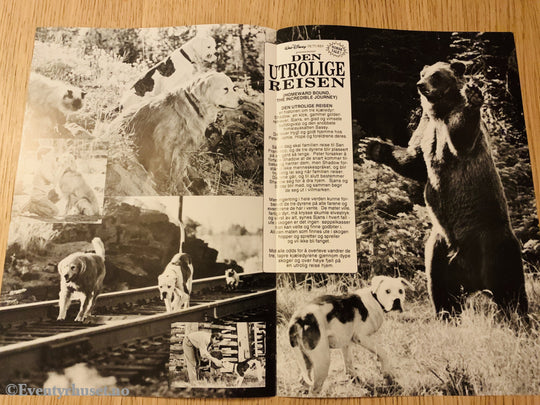 Disney Vaskeseddel/brosjyre. Den Utrolige Reisen. 1993. Vaskeseddel/brosjyre