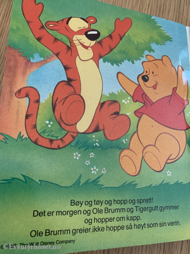 Disneys Ole Brumm Finner En Skatt. 1988. Fortelling