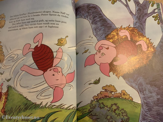 Disneys På Eventyr Med Ole Brumm. Blås-Bort-Dagen. 1991. Fortelling