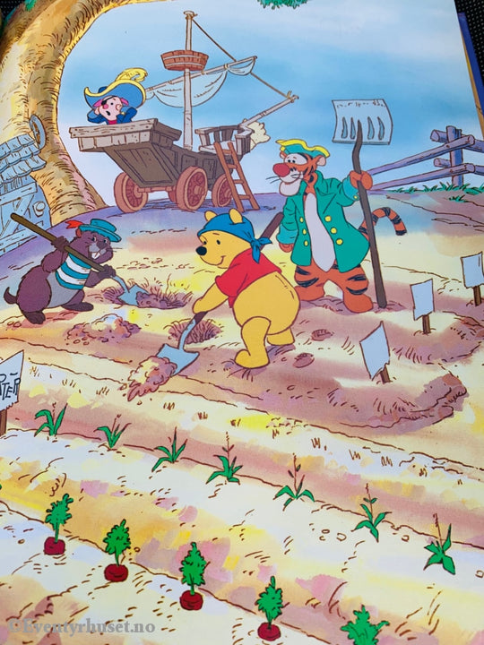 Disneys På Eventyr Med Ole Brumm. Skattejakten. 1992. Fortelling