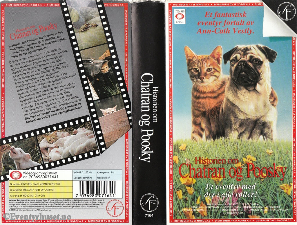 Download / Stream: Historien Om Chatran Og Poosky. 1987. Vhs. Norwegian Dubbing. Vhs