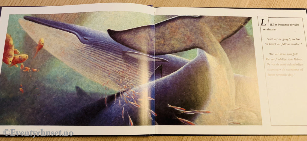 Dylan Sheldon Og Gary Blythe. 1991. Hvalens Sang. Fortelling