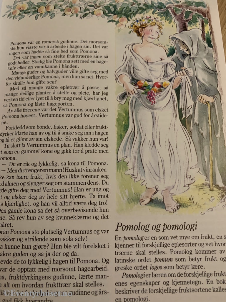 Görel Kristina Näslund & Gunilla Hansson. 1987. Pomonas Eplebok. Fortelling