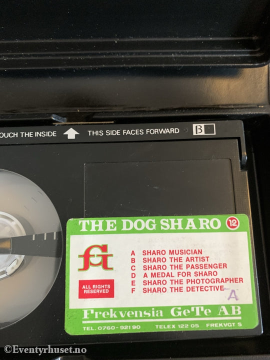 Great Stories 12. Beta. Beta