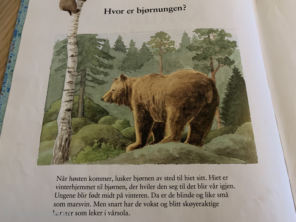 Lars Klinting. 1992. Kvitungen. Faktabok