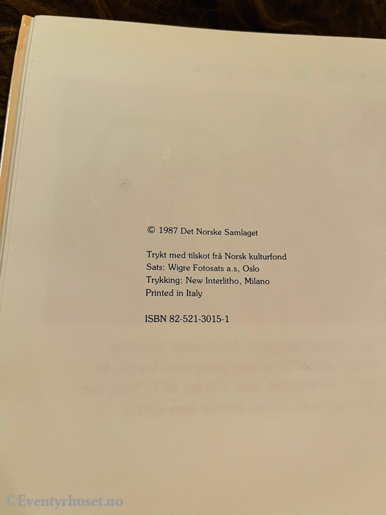 Leong Vá. 1987. Brevet Til Kongen. Fortelling