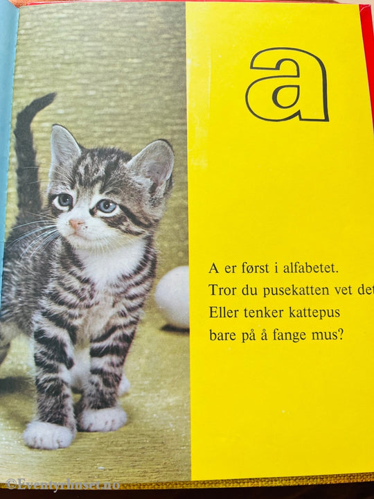 Min Katte Abc. Fortelling