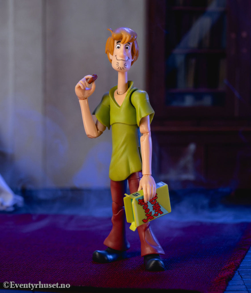 Scooby-Doo Action Figure 1/12 Shaggy 15 cm. Mint In Sealed Box (MISB)! Actionfigur