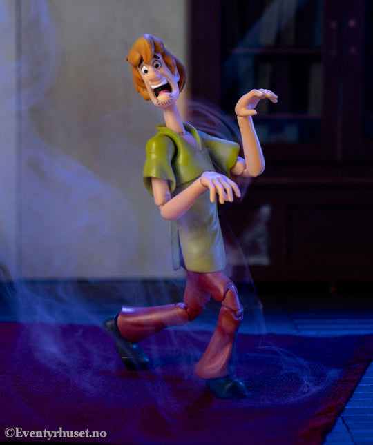 Scooby-Doo Action Figure 1/12 Shaggy 15 cm. Mint In Sealed Box (MISB)! Actionfigur