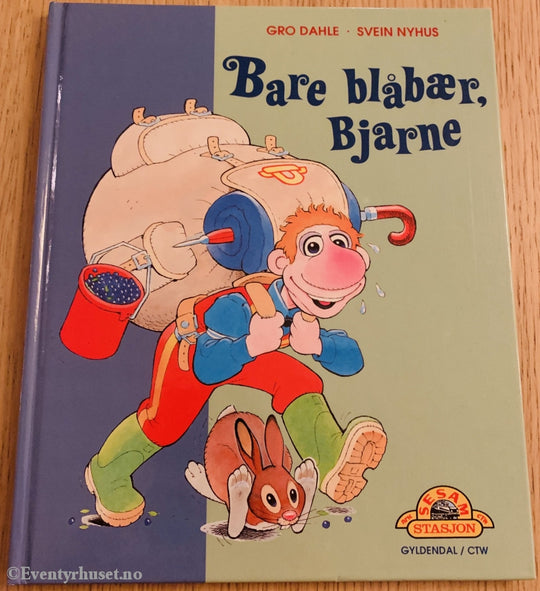 Sesam Stasjon. 1993. Bare Blåbær Bjarne. Fortelling