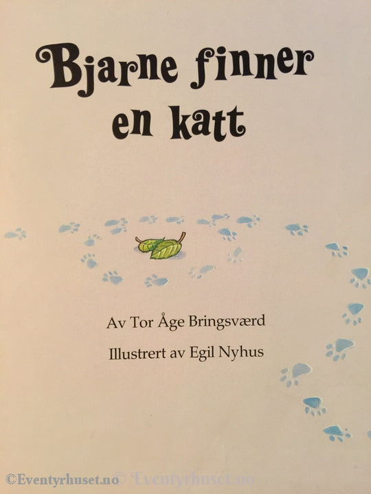 Sesam Stasjon. 1993. Bjarne Finner En Katt. Fortelling