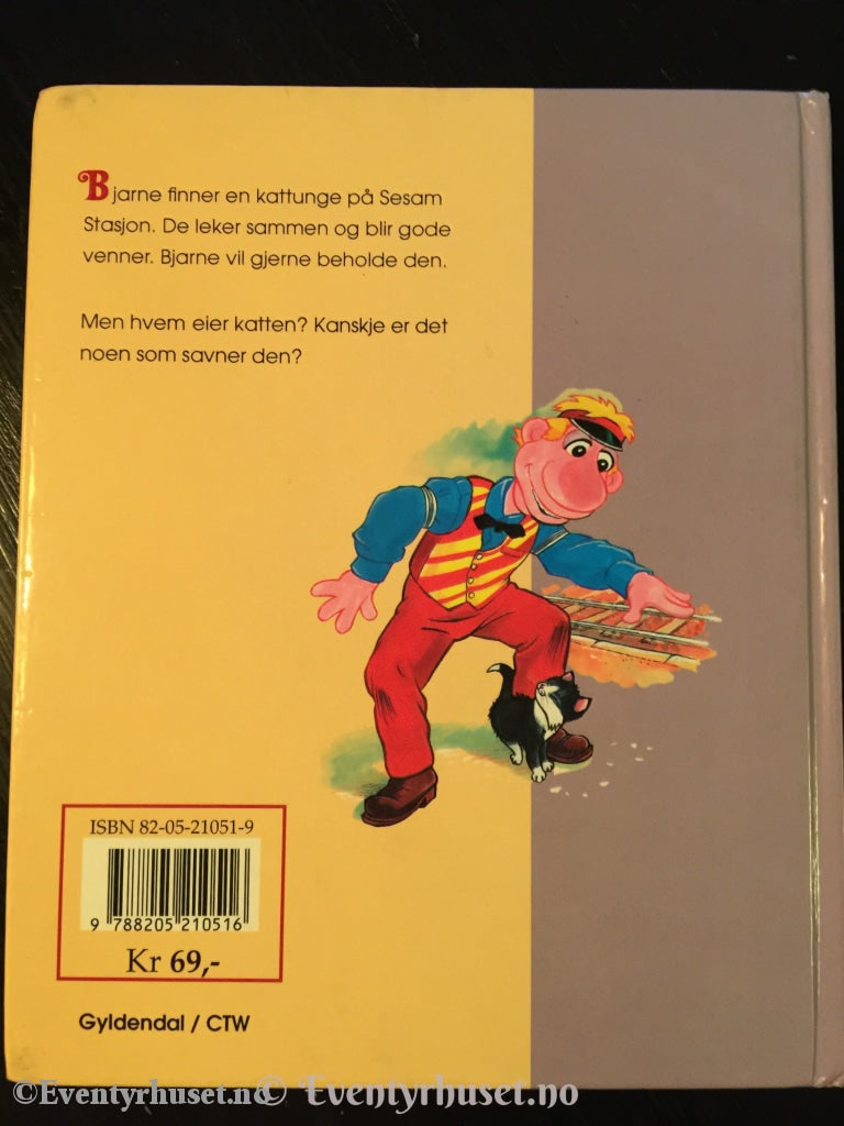 Sesam Stasjon. 1993. Bjarne Finner En Katt. Fortelling