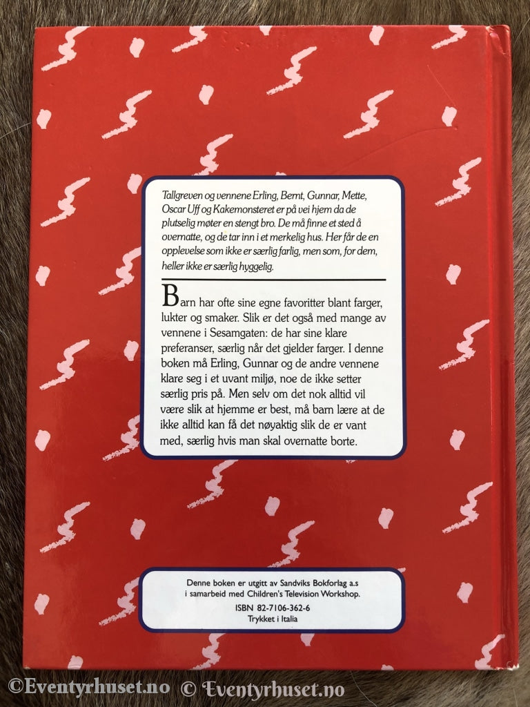 Sesam Stasjon. 1998. Det Fargerike Huset. Fortelling