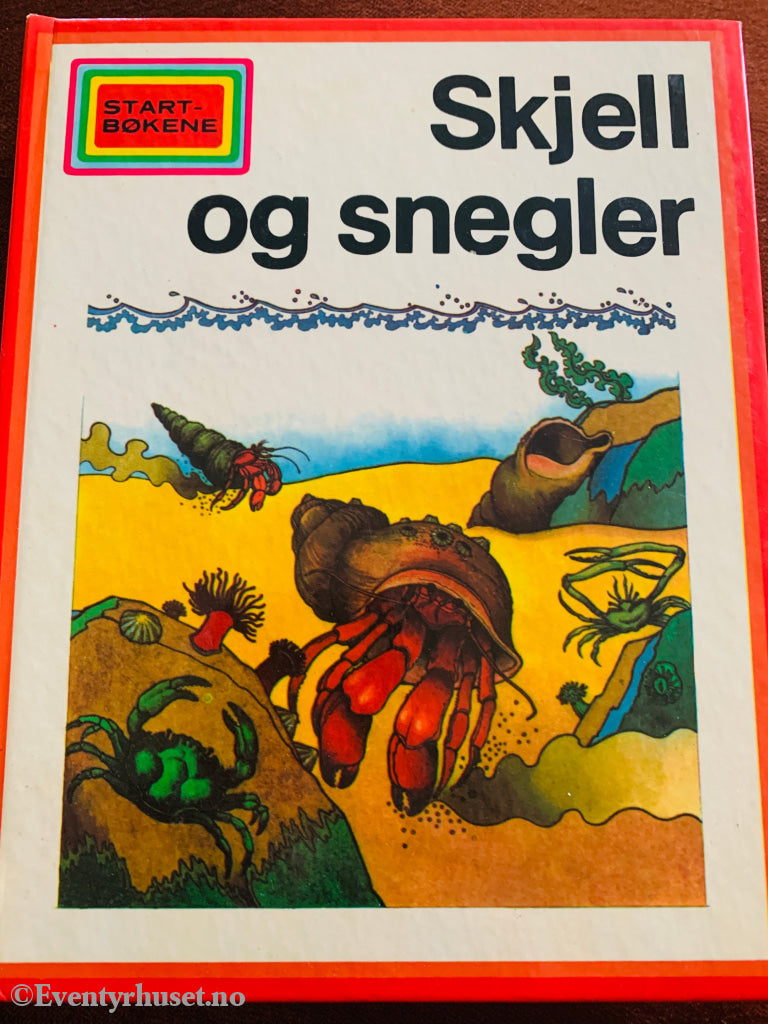 Start-bøkene. Skjell og snegler. 1980-tallet. Barnebok.