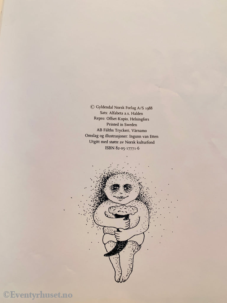 Tor Åge Bringsværd & Ingunn van Etten Tordenguden. Barnebok.