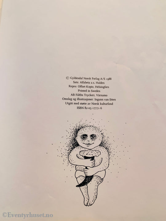 Tor Åge Bringsværd & Ingunn van Etten Tordenguden. Barnebok.