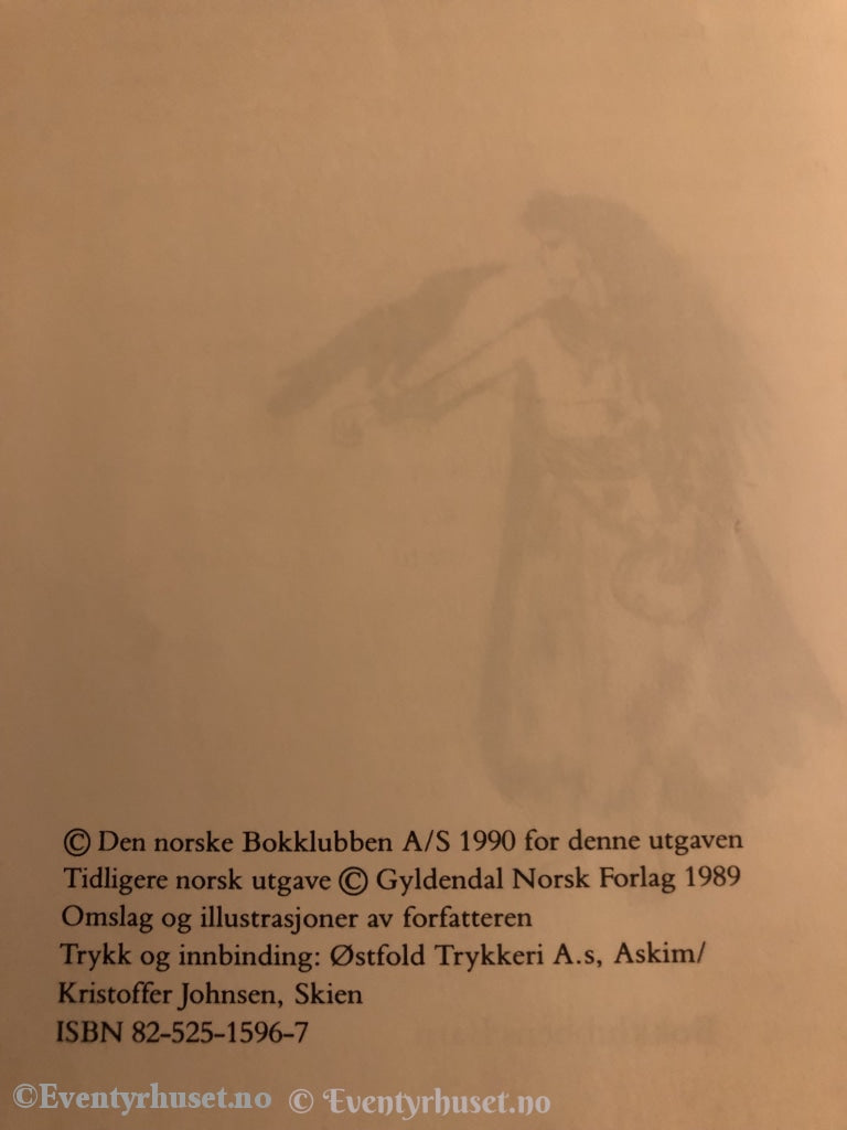 Torill Thorstad Hauger. 1990. Ravnejenta. Fortelling