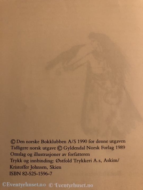 Torill Thorstad Hauger. 1990. Ravnejenta. Fortelling