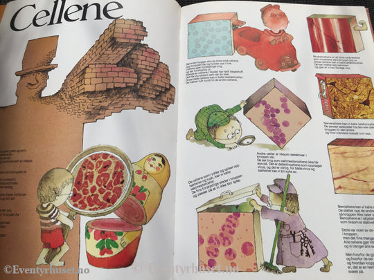 Trond Viggo Torgersen. 1983. Kroppen. Fortelling