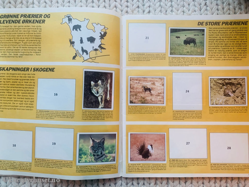 Wwf - Truede Dyr. Klistremerkealbum Med Mange Klistremerker I Albumet!