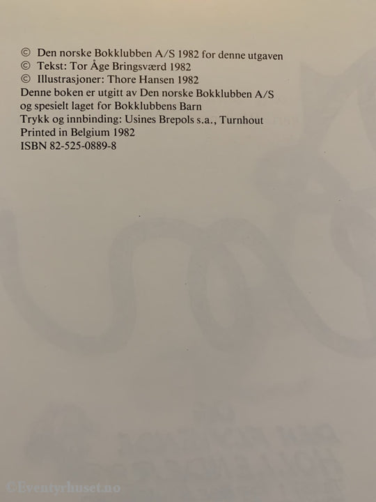 Tor Åge Bringsværd. 1982. Ruffen Og Den Flyvende Hollender. Tegning Av Thore Hansen. Fortelling