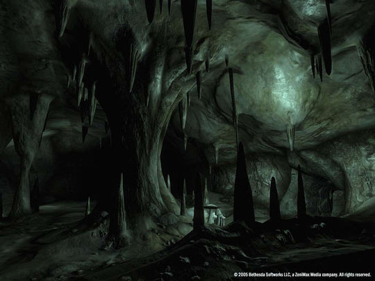 The Elder Scrolls IV: Oblivion GOTY Edition EU PC Steam CD Key