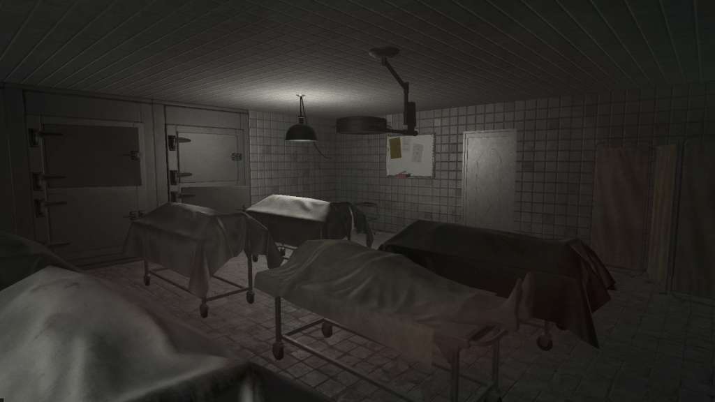 ALONE? Steam CD Key