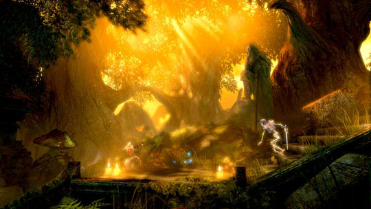 Trine Enchanted Edition PC Steam CD Key