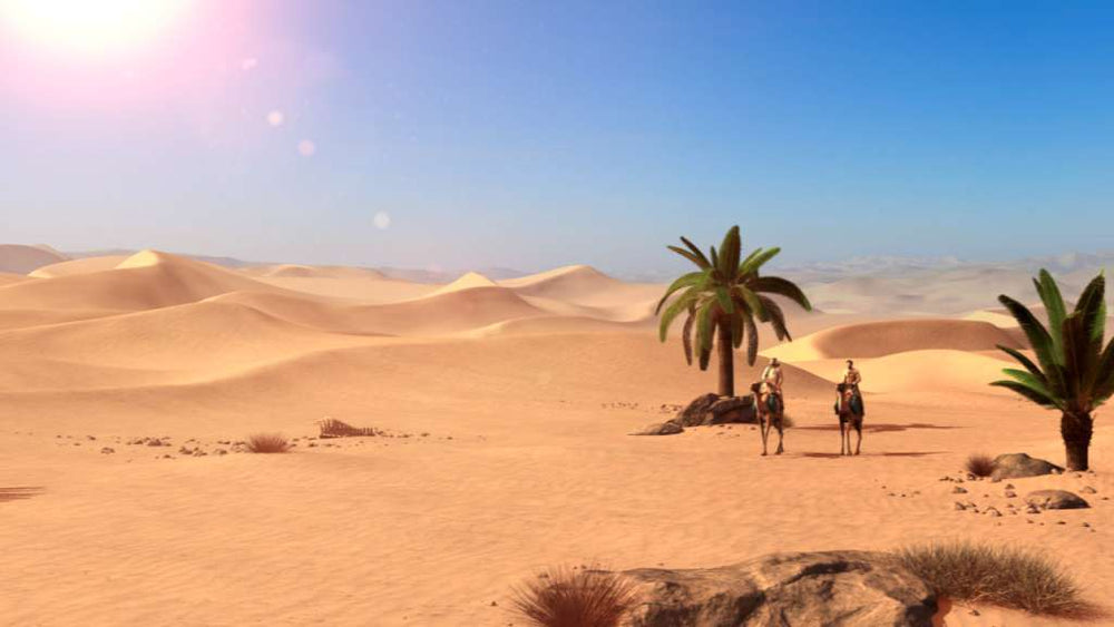 Lost Horizon 2 PC Steam CD Key