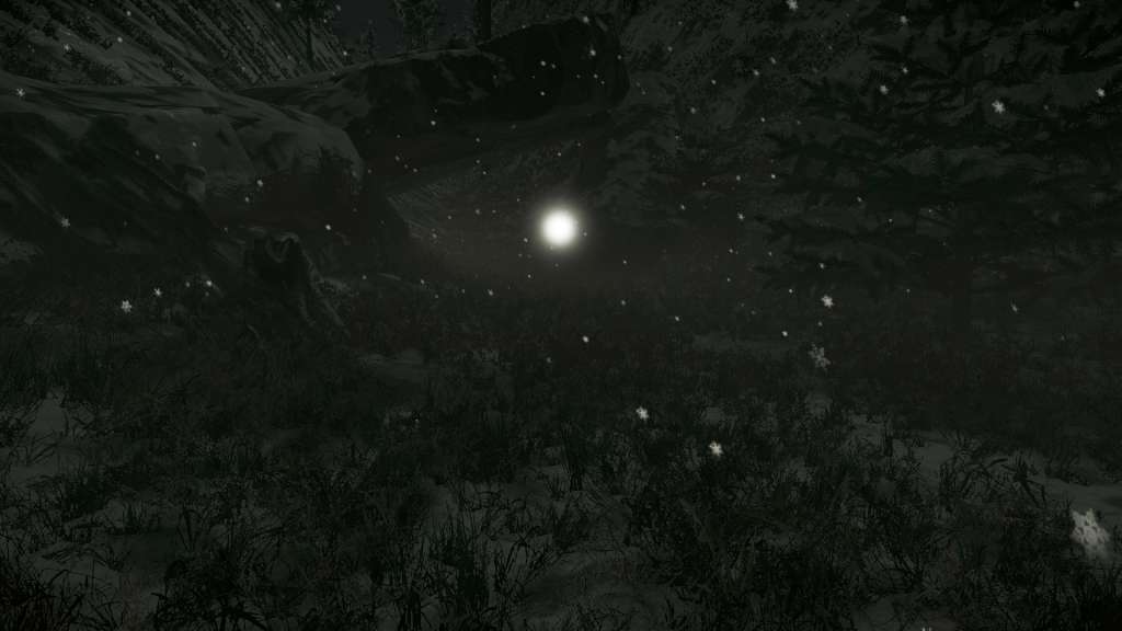 Cold Dreams Steam CD Key