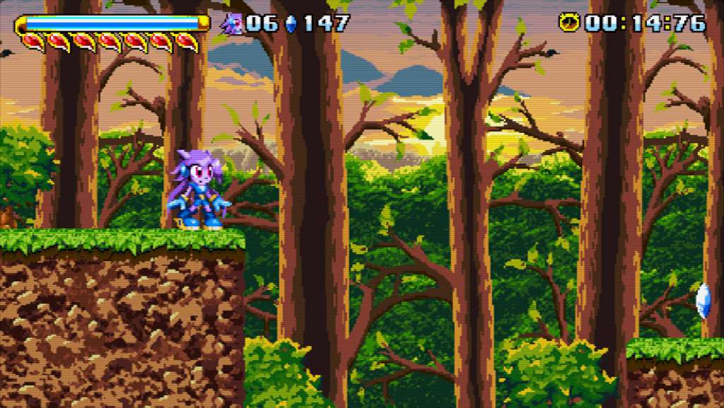 Freedom Planet PC Steam CD Key