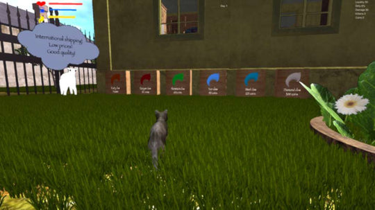 Cat Survival Steam CD Key