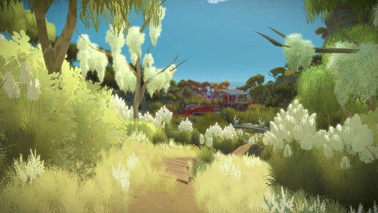 The Witness Steam CD Key