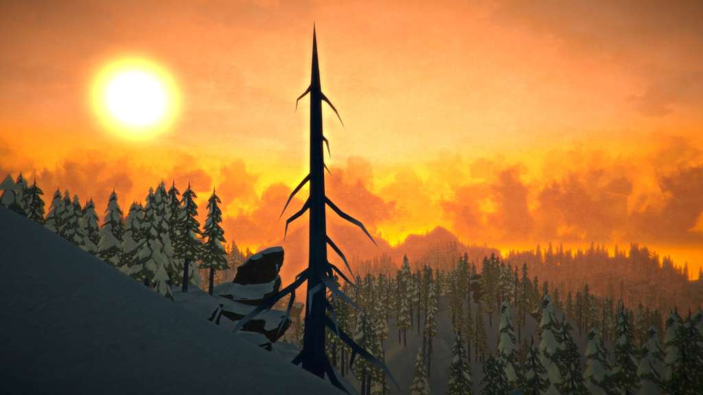 The Long Dark PC Steam CD Key