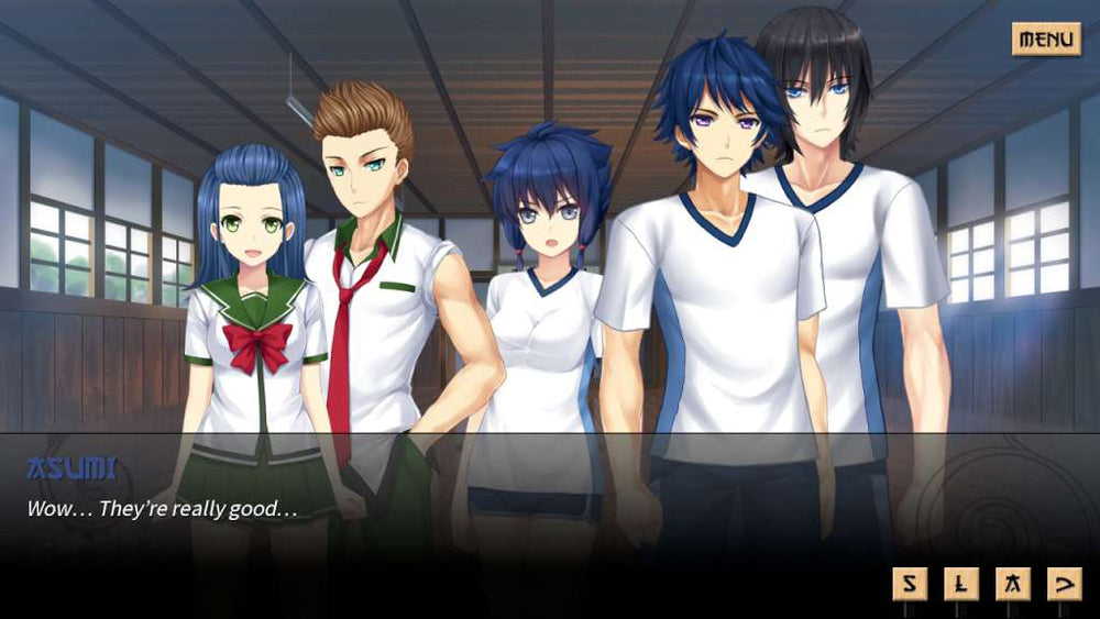 Sword of Asumi - Deluxe Edition Steam CD Key