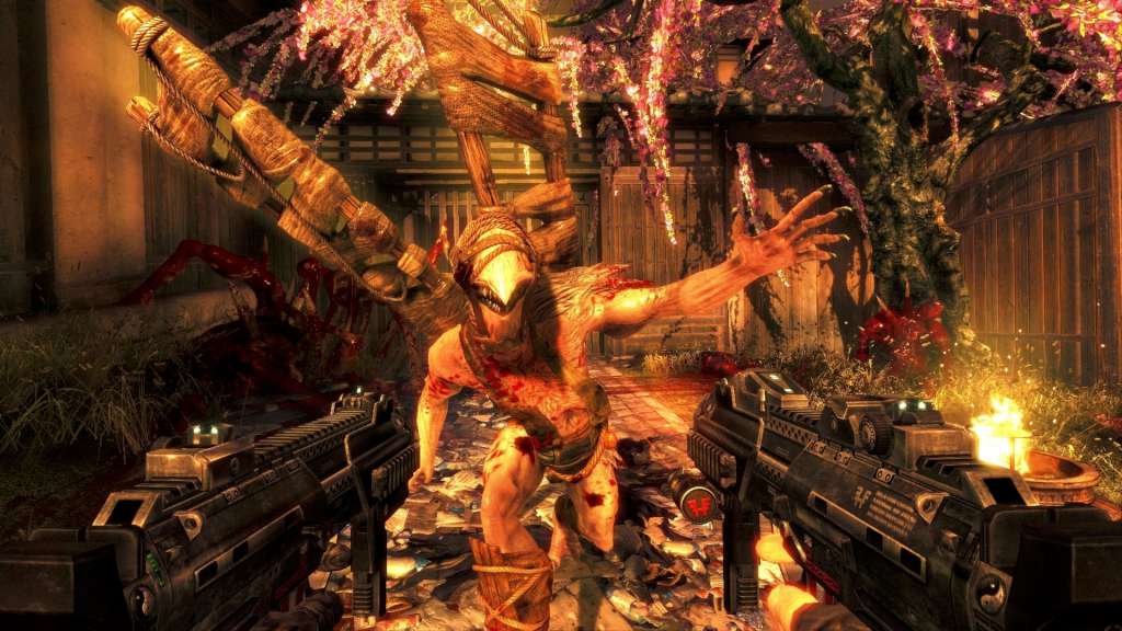 Shadow Warrior Special Edition EU Steam CD Key