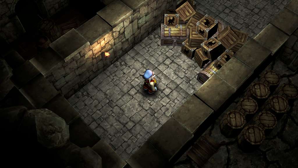 Mystery Maze Of Balthasar Castle Steam CD Key